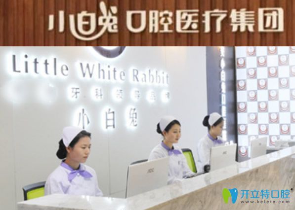 渭南小白兔口腔 渭南小白兔口腔