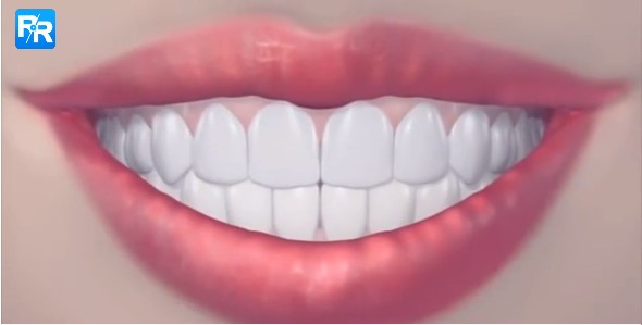 巴氏刷牙法完整視頻教程 附送bass刷牙法動畫步驟圖解