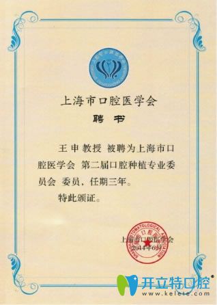 王申所獲協(xié)會(huì)榮譽(yù)