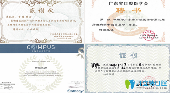 羅維所獲榮譽(yù)證書