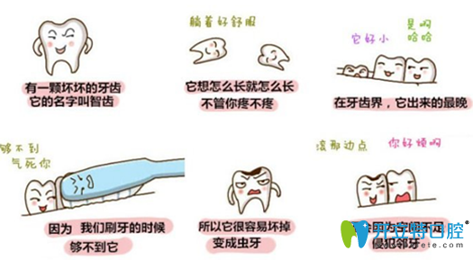 為什么會(huì)長(zhǎng)智齒