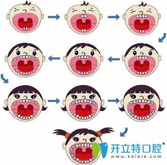 提供乳牙和恒牙的區(qū)別,以及乳牙的換牙順序和時(shí)間