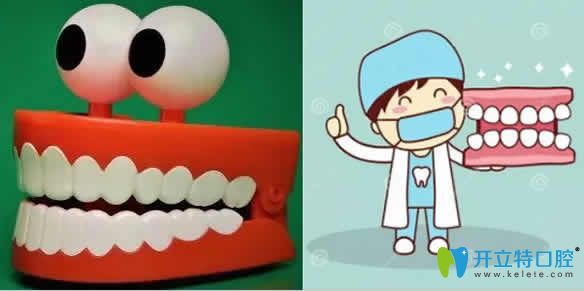 全口活動假牙多少錢