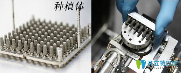 國產(chǎn)種植體和進口種植體展示圖