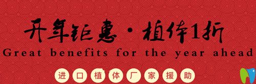 杭州美萊口腔開(kāi)年鉅惠，植體1折種僅限前50名欲報(bào)從速哦！