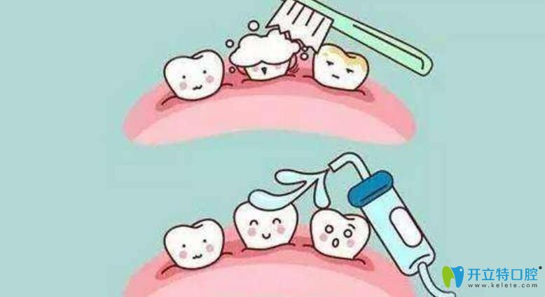 牙齒松動了該怎么辦