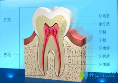牙槽骨突出能按進(jìn)去嗎，如果選擇矯正該怎么搞？