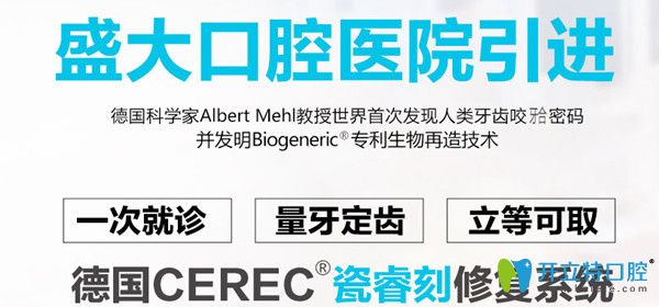 德國(guó)瓷?？绦迯?fù)系統(tǒng)