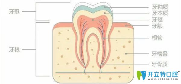 什么是鄰面去釉