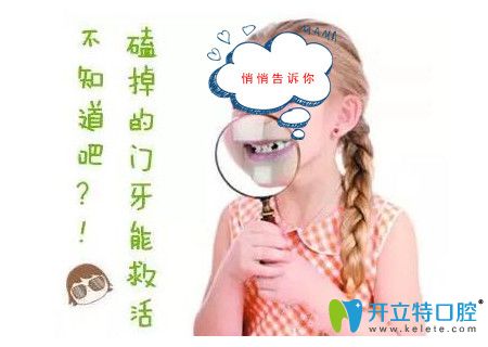  牙齒撞歪、撞斷了如何復(fù)位？辦法終于找到啦！