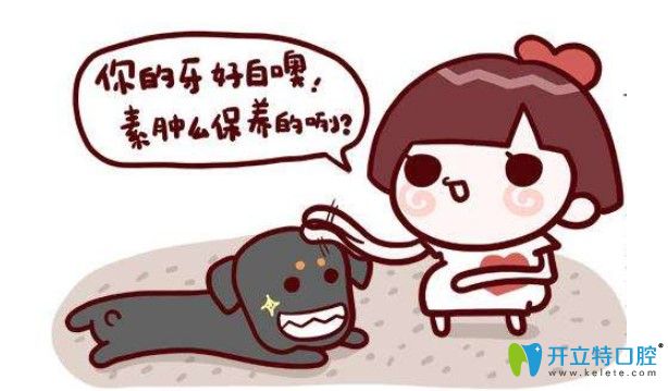 做完牙齒貼面術(shù)后應(yīng)該如何護(hù)理