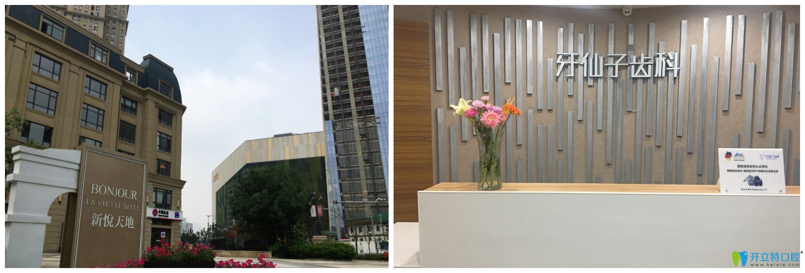 <!--<i data=20240703-sp></i>-->口腔前臺(tái)