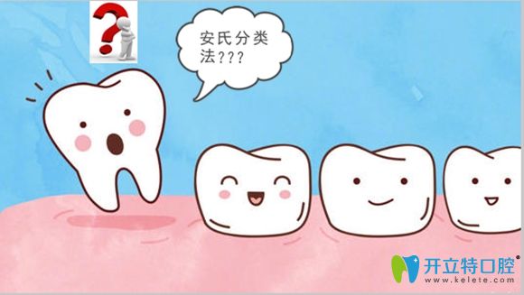 正畸安氏分類診斷標(biāo)準(zhǔn)及牙齒骨性一類二類三類的區(qū)別