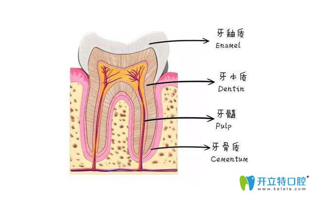 蛀牙不疼的話(huà)要補(bǔ)嗎?必須補(bǔ)且看情況需要根管治療或拔掉