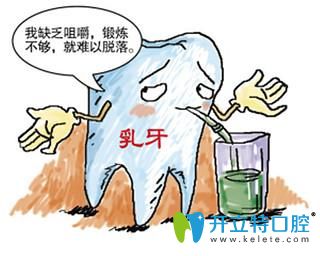 吃過于稀碎的食物導(dǎo)致乳牙難易脫落