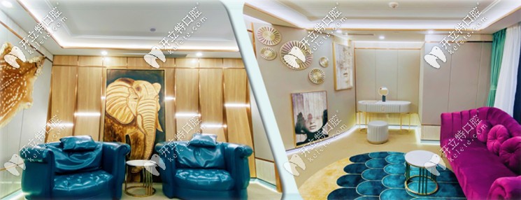 成都河貍(貝沃口腔休息區(qū)) 成都河貍(貝沃口腔休息區(qū))