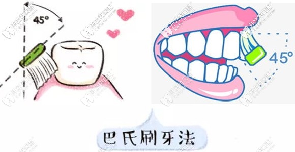 建議牙刷與牙齒呈45度角進(jìn)行刷