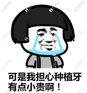 做過意大利西泰克種植牙的來說說，你們花了多少費用？