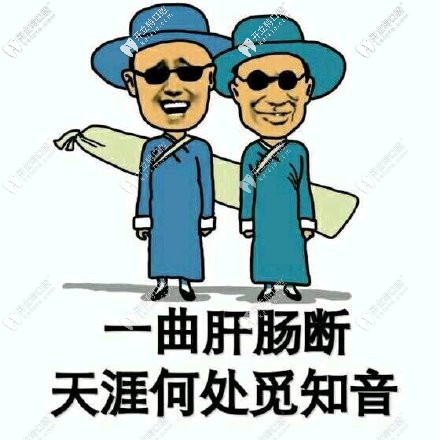 傲嬌的品牌，呆萌的價格