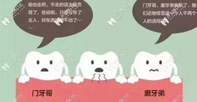 拔掉第二磨牙不及時修復(fù)，危害遠(yuǎn)比你想象中的大