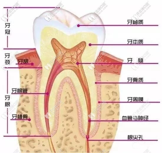 門牙牙齒摔斷了如果不能接上,樹脂補牙和嵌體修復這樣選