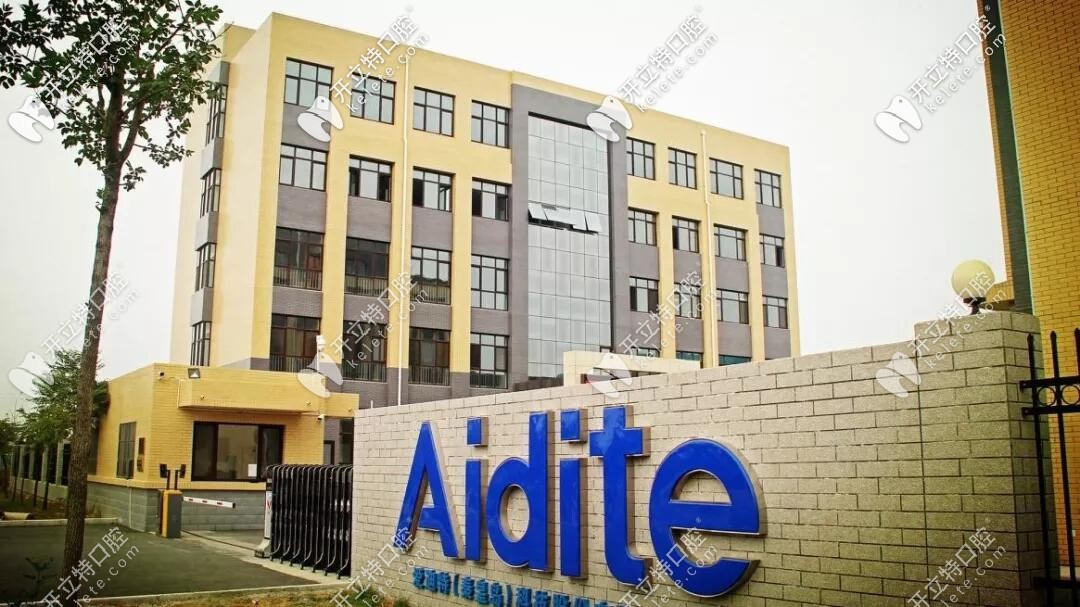 愛迪特科技公司