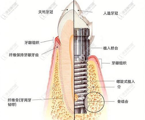 <!--<i data=20240703-sp></i>-->溫志達(dá)醫(yī)生怎么樣