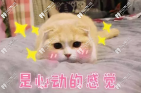 號外!重慶隱形牙套矯正價格更新了,快來貼上這波暑假福利