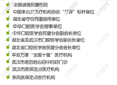 武漢愛尚大眾齒科榮譽稱號