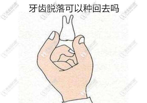 我想對(duì)你說：這樣處理脫落的牙齒是可以種回去的哦！