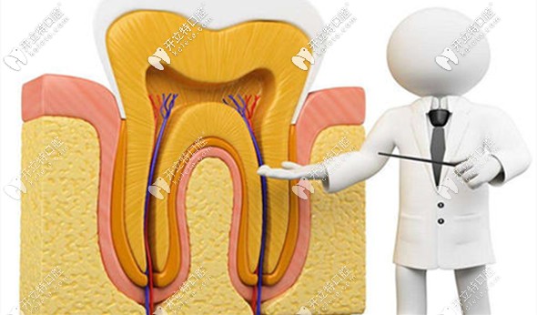 牙周病的病因介紹