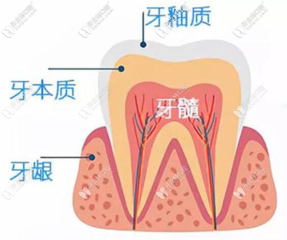 牙齒敏感酸痛怎么辦？速來了解快速緩解的方法