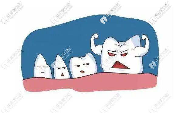 原來(lái)智齒不拔有這么大的危害,還會(huì)影響其他健康牙齒