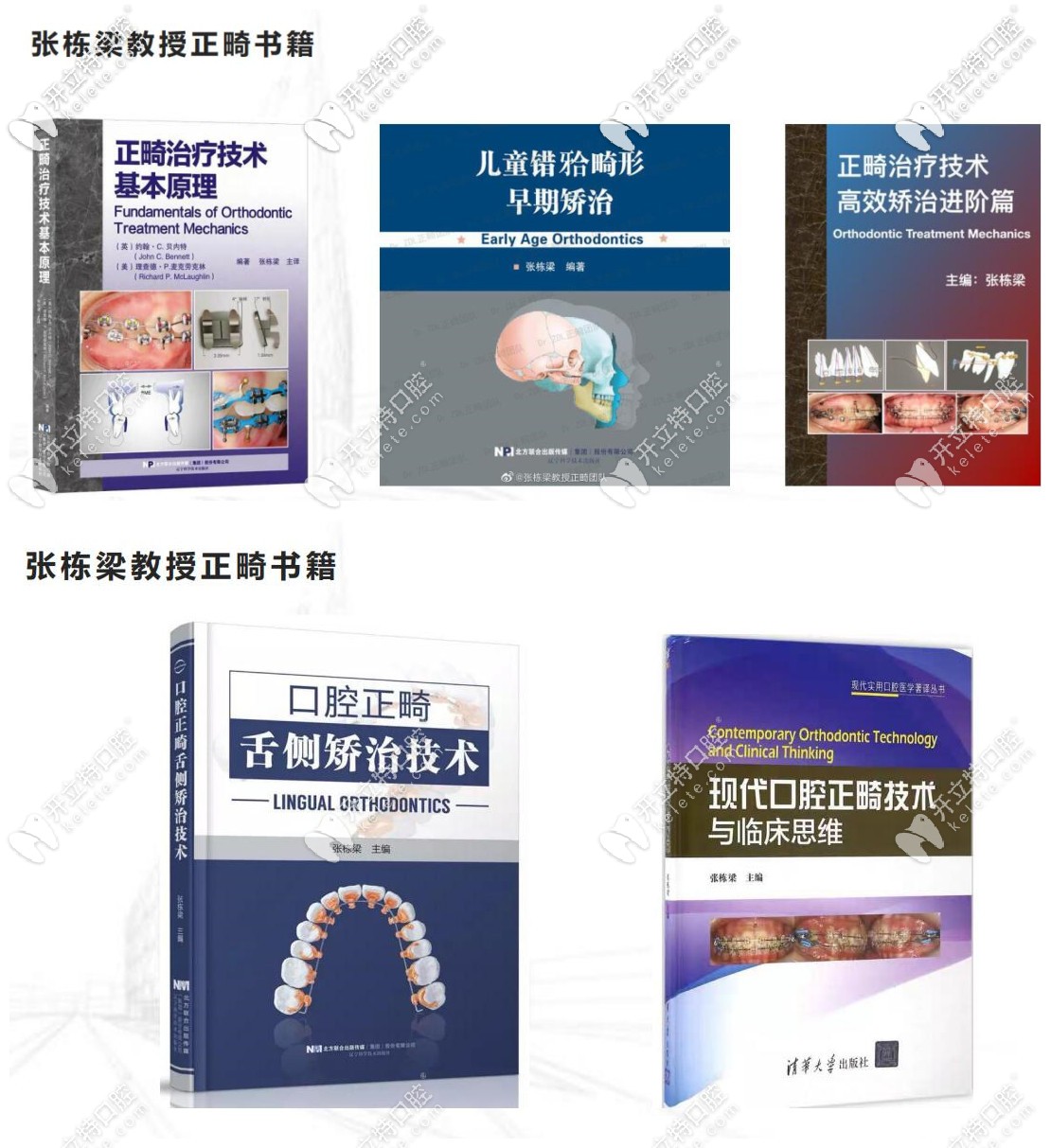 張棟梁出版書籍