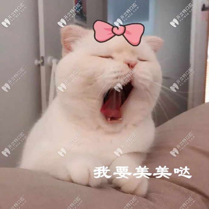 就問你我可不可愛