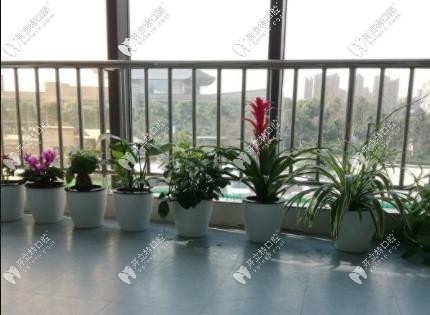 綠植環(huán)境 綠植環(huán)境