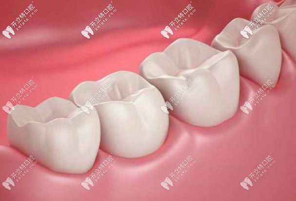 國產(chǎn)的滬鴿美晶瓷和瓷倍健哪個好？價格各是多少？