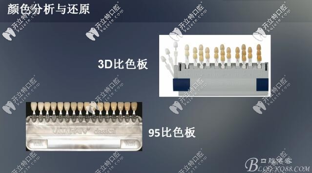 牙齒對(duì)照表