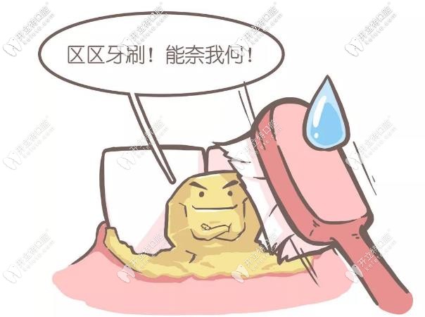 平時要勤刷牙，保護口腔健康