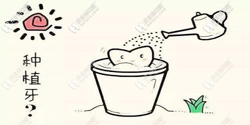 玩大了！我把咸陽海濤口腔的種植牙價格表給泄露了！