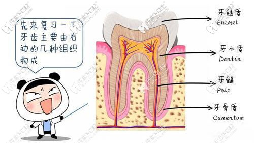 葉宏醫(yī)生的擅長項(xiàng)目 葉宏醫(yī)生的擅長項(xiàng)目