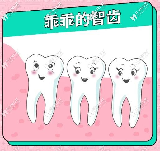 超超全拔牙價(jià)目表,天啦嚕沒天理,有的阻生智齒竟然需要5000