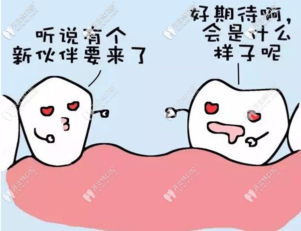 湖州種植牙的費(fèi)用