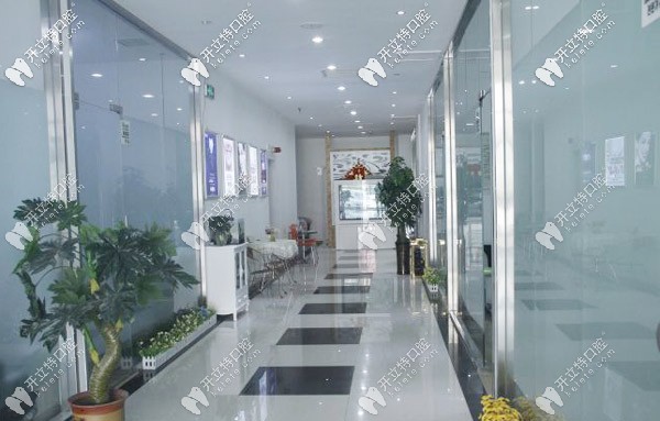 牙博士口腔的室內環(huán)境圖