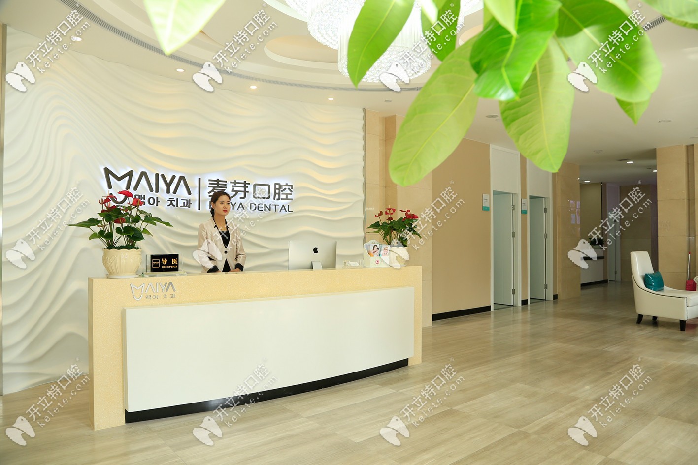 深圳麥芽口腔寶安機構(gòu)前臺 深圳麥芽口腔寶安機構(gòu)前臺