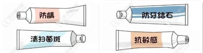 因人而異選牙膏