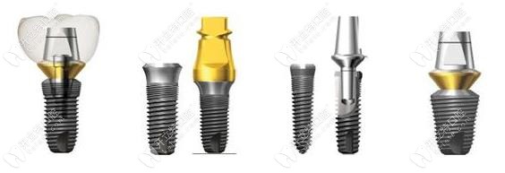 韓系植體示意圖