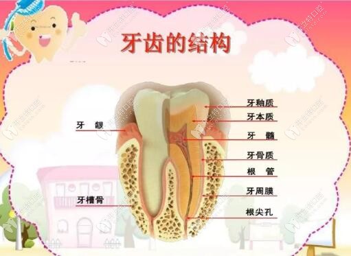 牙髓炎會自愈嗎?別傻了必須要做根管治療否則后果你想不到