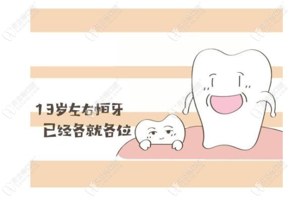 13歲的兒童恒壓就長出來了 13歲的兒童恒壓就長出來了